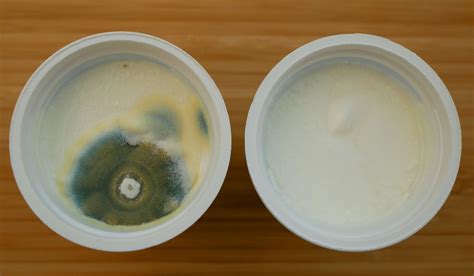 yogurt avariato