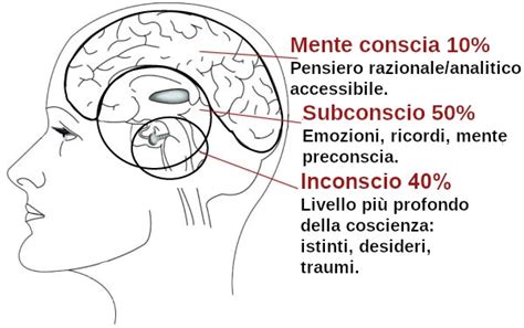 Rappresentazione stilizzata della mente umana con aree che rappresentano conscio, preconscio e inconscio
