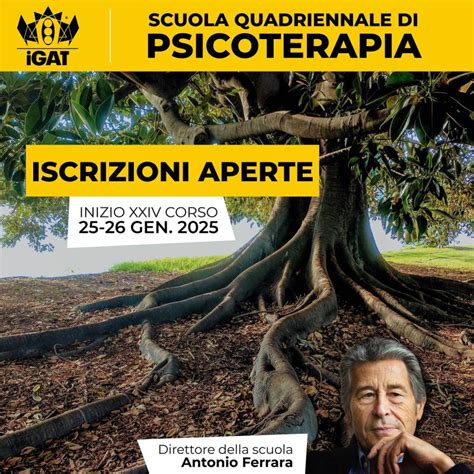 Diagramma che illustra la struttura quadriennale di un corso di specializzazione in psicoterapia psicoanalitica