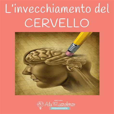 Invecchiamento del cervello