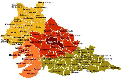Mappa della provincia di Mantova con evidenziate le sedi dei servizi NPI