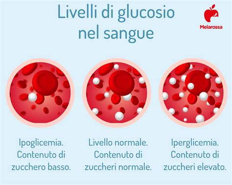 grafico sui livelli di glucosio nel sangue
