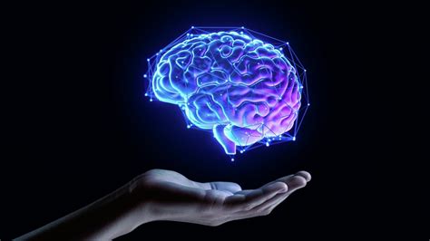 Diagramma della psiche umana