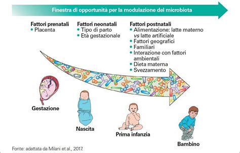 Diagramma che illustra i fattori che contribuiscono allo sviluppo della nevrosi: traumi infantili, predisposizione genetica, stress sociale
