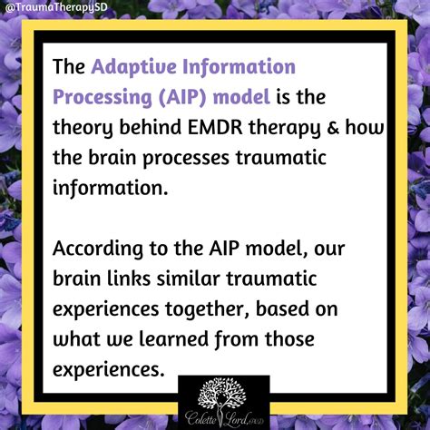 Schema del modello AIP (Adaptive Information Processing)