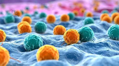 Grafico che confronta l'incidenza delle immunodeficienze primitive e secondarie