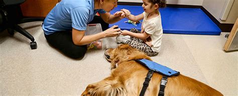Cane da pet therapy che interagisce con un anziano