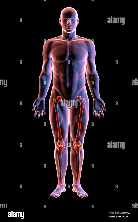 Illustrazione di un corpo umano con evidenziate aree di disagio fisico legate alla depressione mascherata