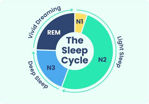 Schema del ciclo del sonno REM e NREM