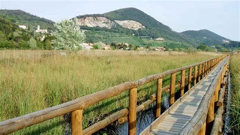 Parco San Rossore e Torre di Pisa