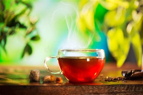 tazza di tisana rilassante