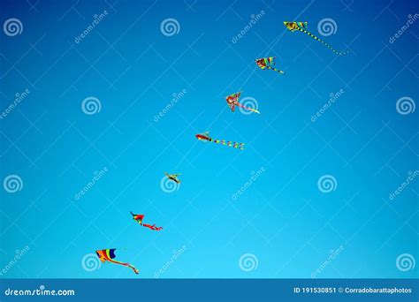 Aquiloni colorati in volo