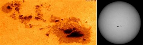 Macchie solari sul Sole