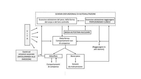 Diagramma dei meccanismi di mantenimento dei disturbi alimentari secondo la teoria transdiagnostica