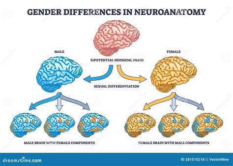 Diagramma che illustra le differenze tra l'aggressività maschile (fisica, diretta) e quella femminile (psicologica, manipolativa) nella psicopatia.
