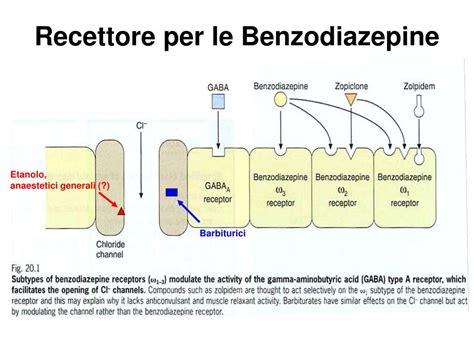 Diagramma del meccanismo d'azione delle benzodiazepine sul recettore GABA-A