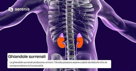 Ghiandole surrenali e produzione di corticosteroidi