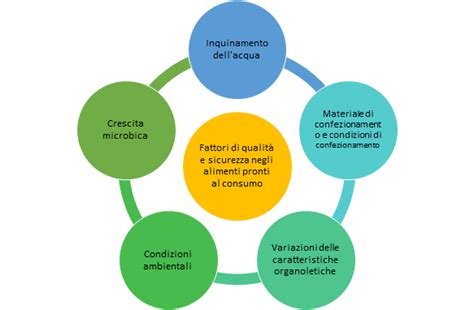 diagramma che mostra i fattori che contribuiscono al ROCD
