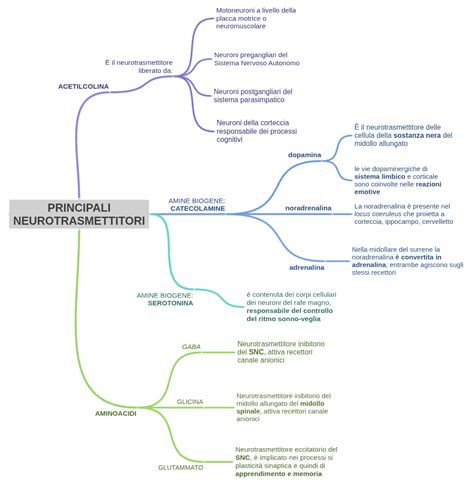 Schema della neurotrasmissione cerebrale, evidenziando i principali neurotrasmettitori coinvolti nei disturbi psicotici.