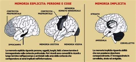Diagramma che illustra la connessione tra neuroscienze, memoria implicita e relazione terapeutica