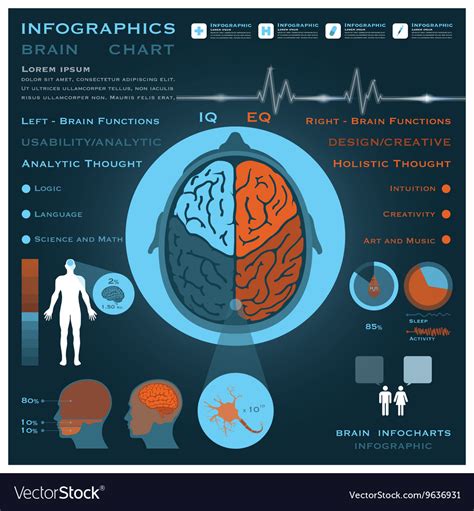 Brain scan infographic