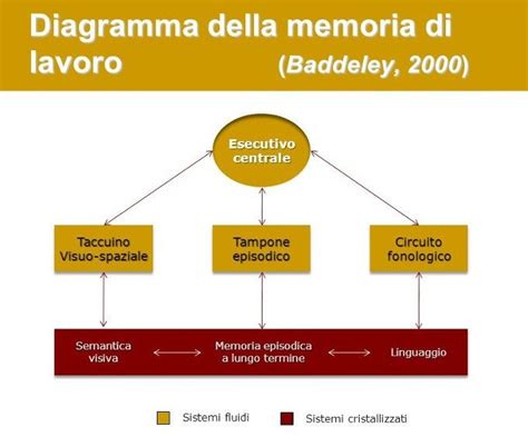 Infografica che illustra le diverse componenti della memoria di lavoro
