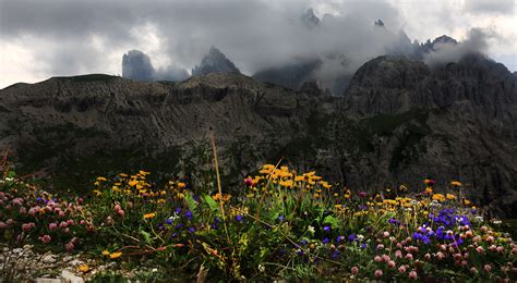 Paesaggio dolomitico in fiore