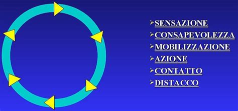 Schema che illustra il ciclo di contatto nella Gestalt