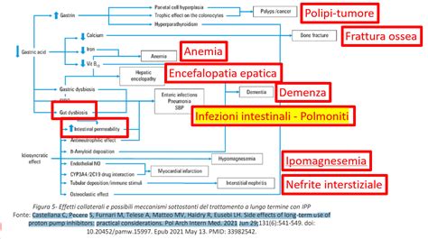 Infografica sui potenziali effetti a lungo termine degli SSRI