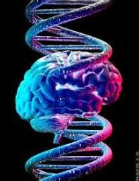 Diagramma che illustra i fattori genetici e ambientali nella schizofrenia