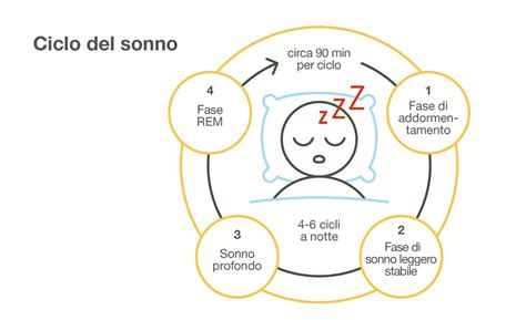 Illustrazione del ciclo sonno-veglia umano