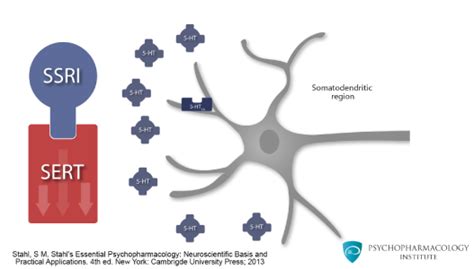 Diagramma che mostra il meccanismo d'azione degli SSRI nel cervello