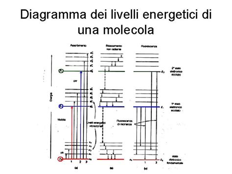 Diagramma dei livelli di azione educativa