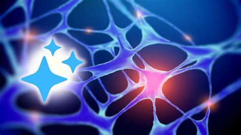 neuroni coltivati in laboratorio