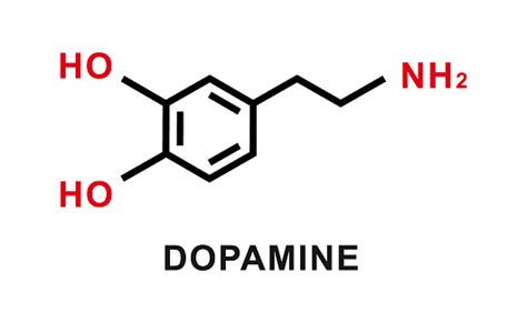struttura molecolare della dopamina