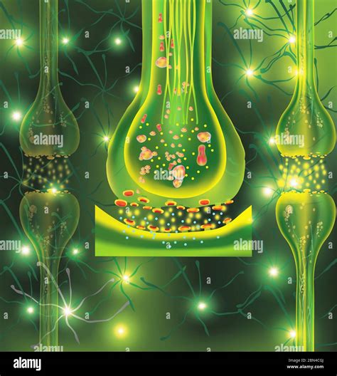 Diagramma di neuroni interconnessi