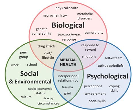 Diagram illustrating the interconnectedness of genetic, biological, psychological, and environmental factors in the development of bipolar disorder.