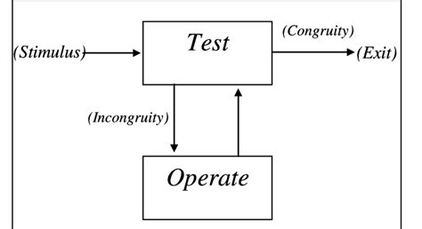 Schema del modello TOTE (Test-Operate-Test-Exit)