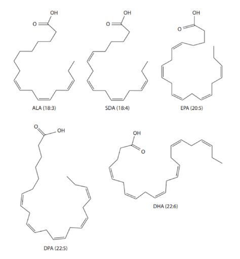 Diagramma che illustra la struttura chimica degli acidi grassi Omega-3 (DHA ed EPA)