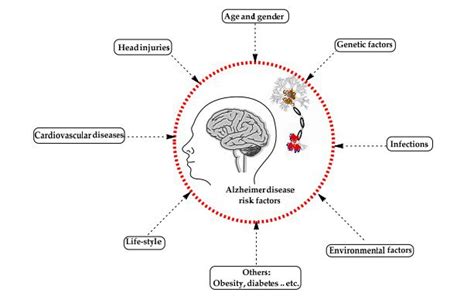 Grafico che confronta il rischio di Alzheimer in base alla presenza di varianti del gene APOE