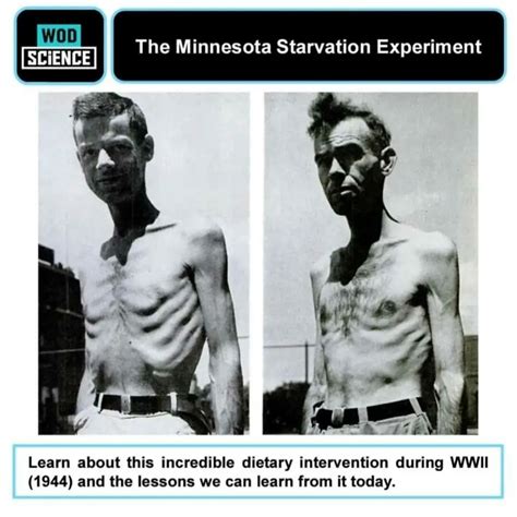 Ancel Keys e partecipanti al Minnesota Starvation Experiment