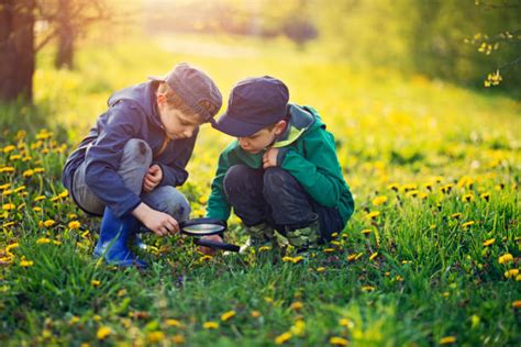 Bambini che osservano insetti in un parco