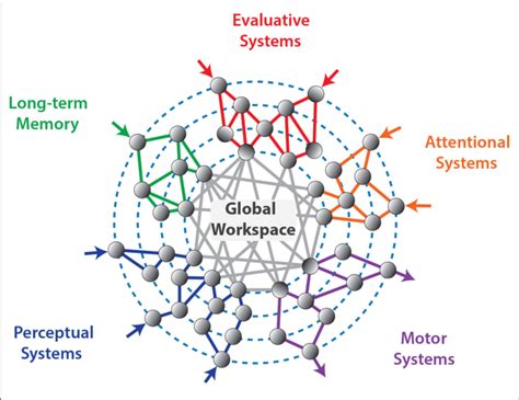 Diagramma che illustra la Global Neuronal Workspace Theory