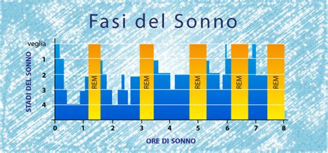 Diagramma delle fasi del sonno REM e NREM