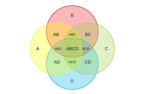 Diagramma che mostra le quattro aree dei DSA