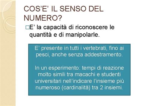 Infografica sul senso del numero