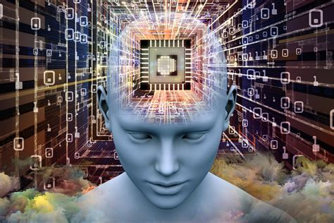 Il cervello umano come un computer