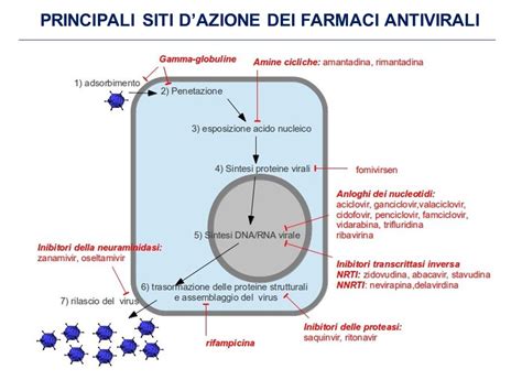 Diagramma che illustra il meccanismo d'azione degli antistaminici