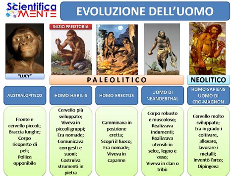 Cronologia delle principali tappe dell'evoluzione umana e della storia