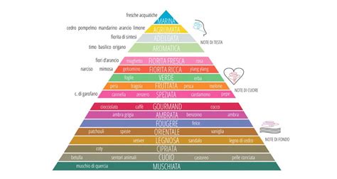 Piramide olfattiva di un profumo